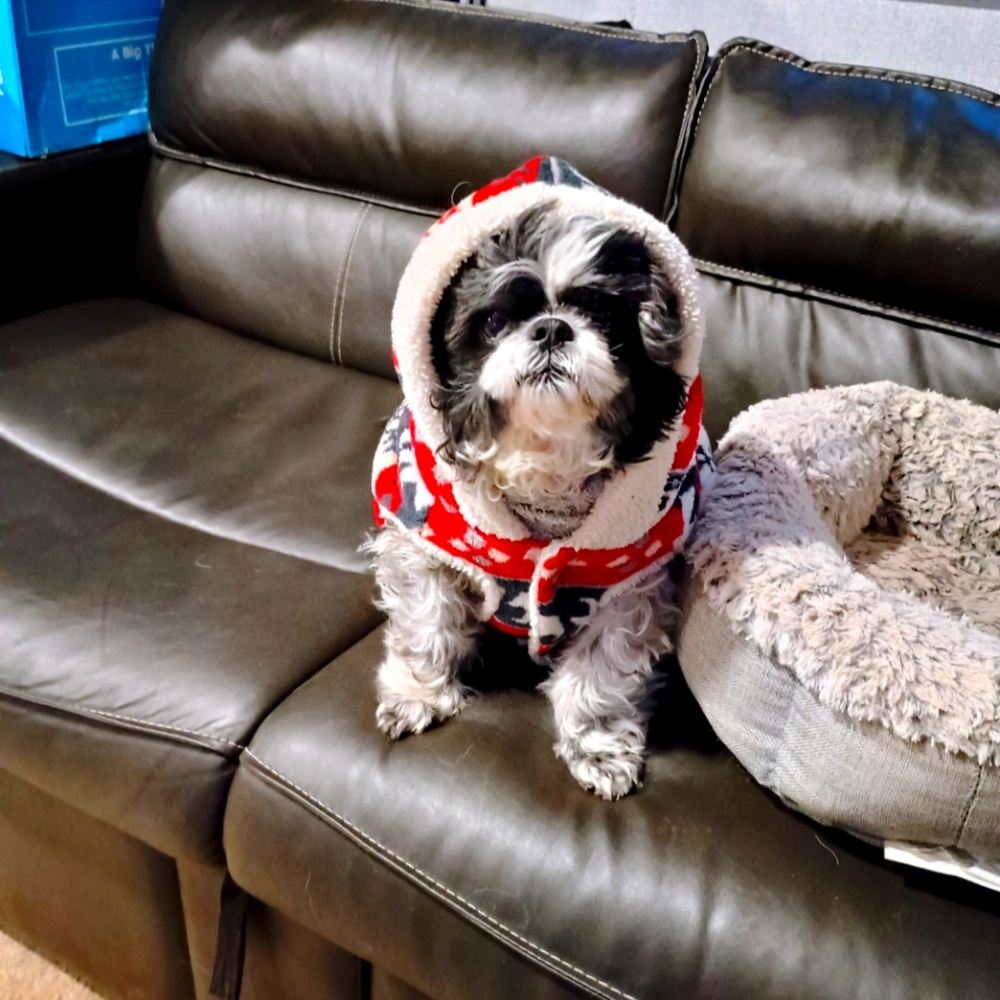 Meet your Posher, Laura